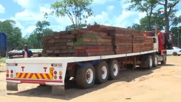 TIMBER TRUCK