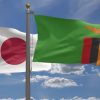 Japanese Flag and Zambia Flag on Poles