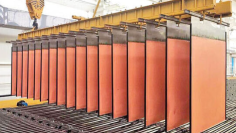 copper cathodes qwqw