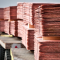 copper cathods