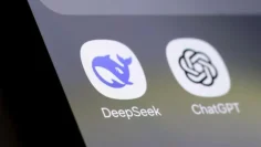 DEEPSEEK