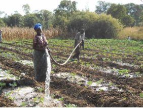 irrigation 101