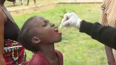 CHOLERA VACCINE