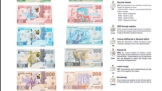 bank notes new