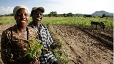 farmers man and woman